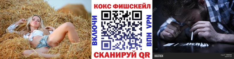 COCAIN FishScale  блэк спрут как войти  Павловская 
