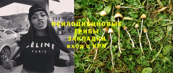 ГАЛЛЮЦИНОГЕННЫЕ ГРИБЫ Горняк