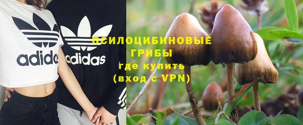 ГАЛЛЮЦИНОГЕННЫЕ ГРИБЫ Володарск